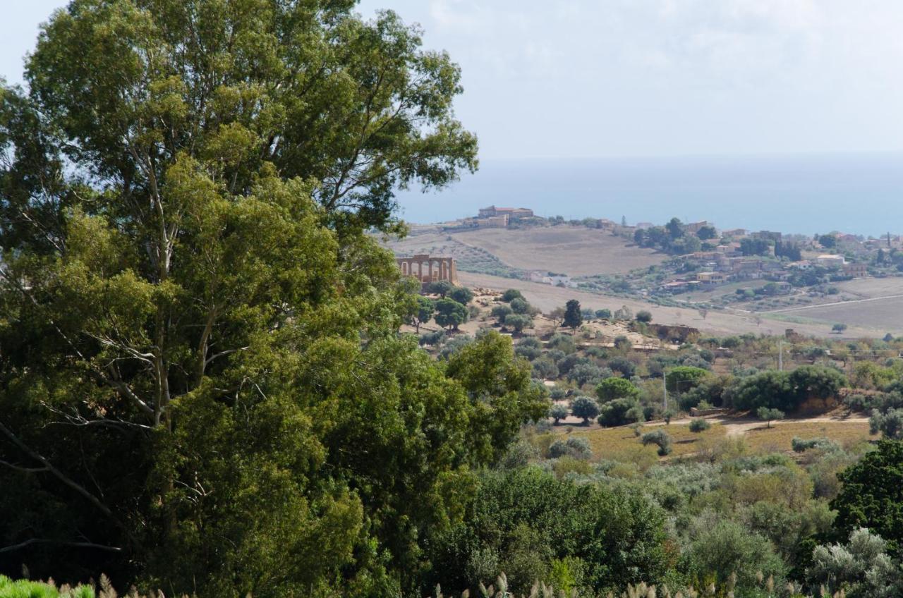 Panoramica Dei Templi B&B Агридженто Екстериор снимка